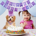 Pet dog birthday dress online for sale